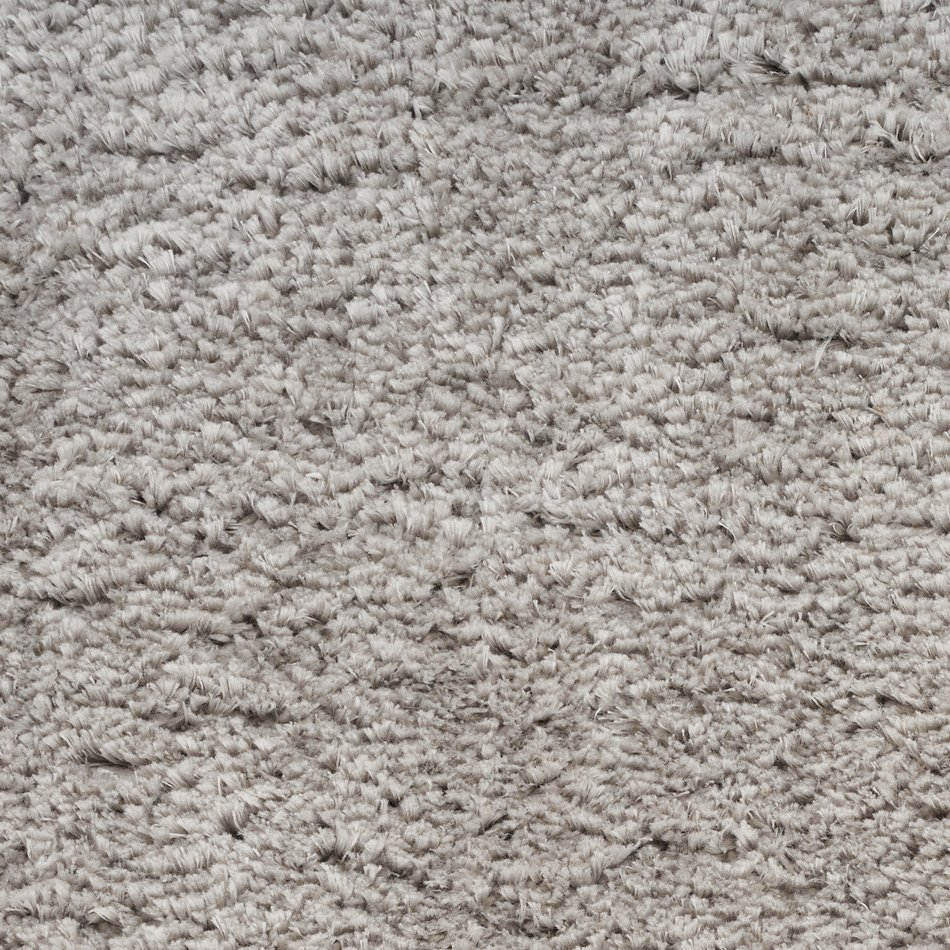 Dreamy Shag Area Rug