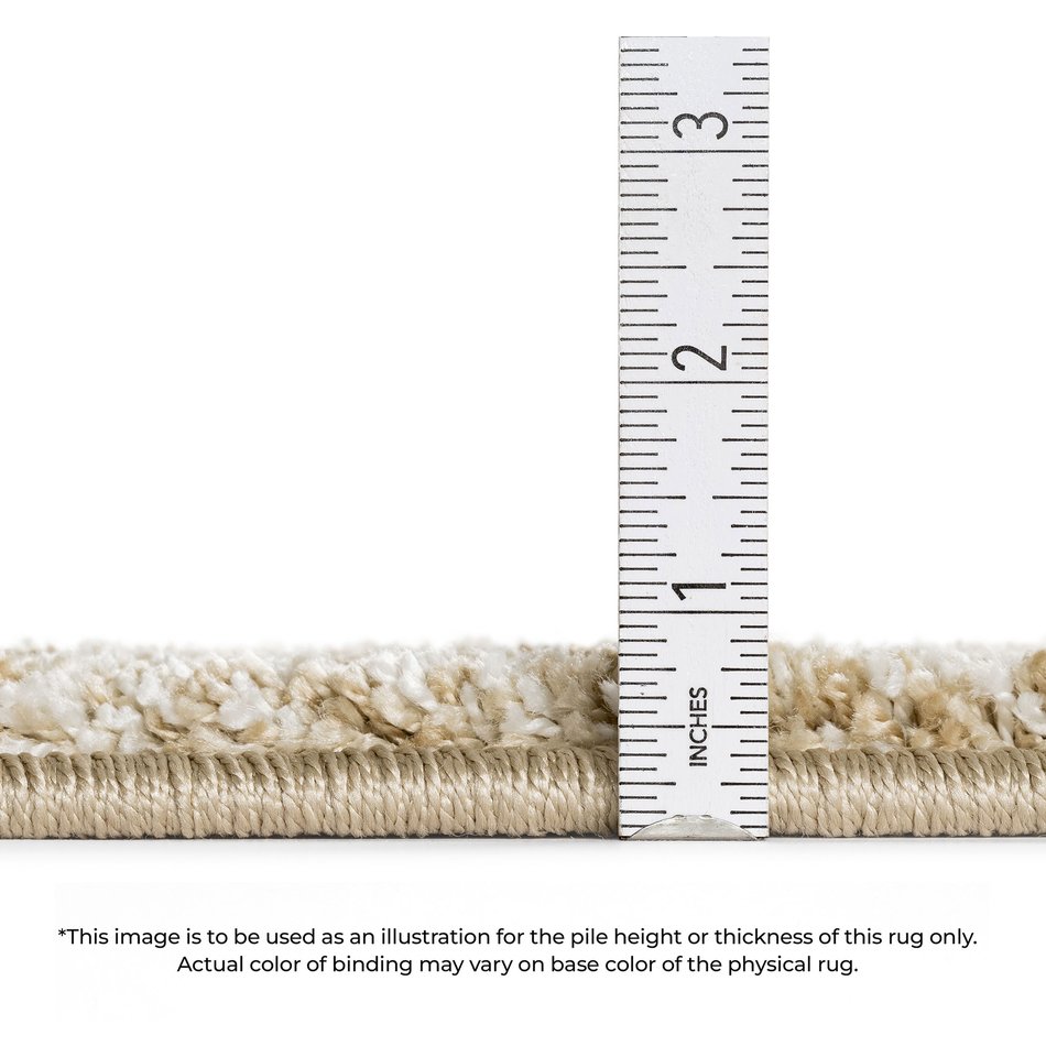 Area Rug