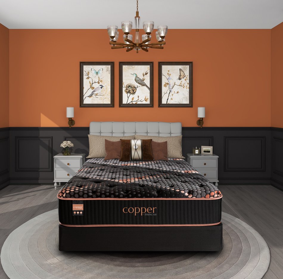 Copper by Spring Air Alloy Medium Twin Mattress