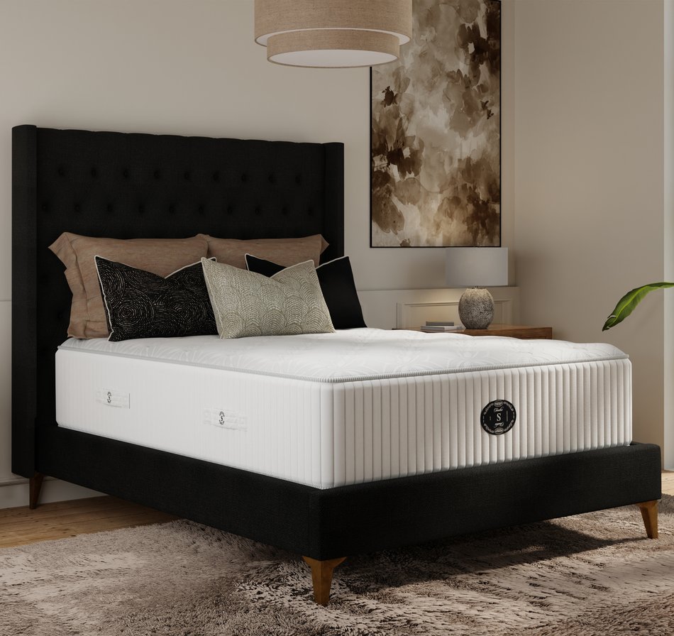 Sunday Morning Plush Queen Mattress