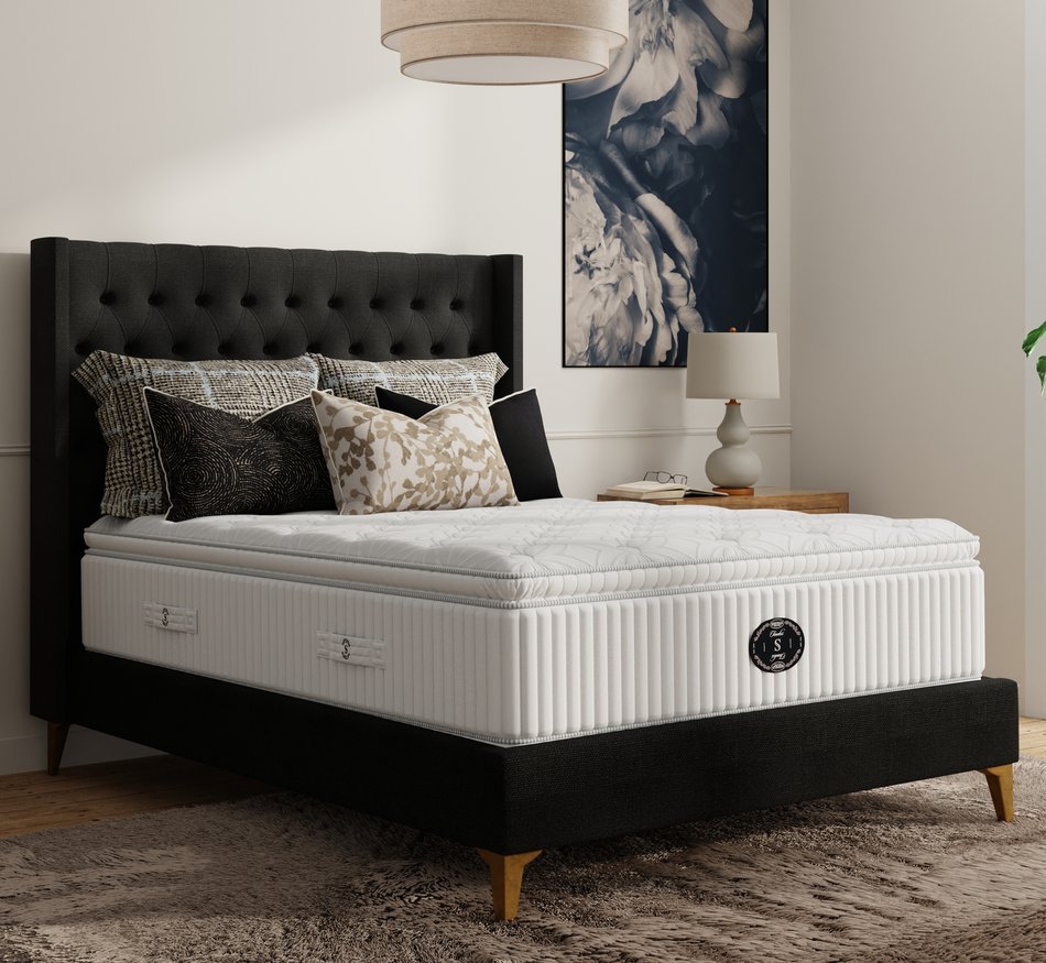 Snow Day Plush Queen Mattress