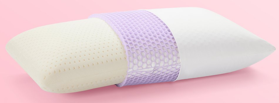Harmony High Profile Standard Pillow